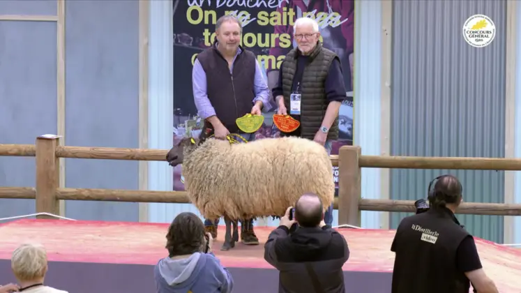 Asterix, de Jean Nolot, remporte le premier prix en viande et en laine.
