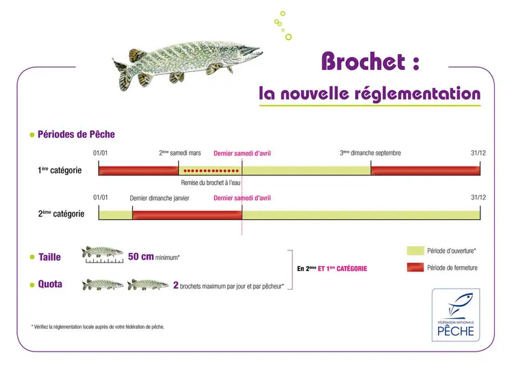 En 2026, la pêche au brochet sera ouverte à partir du 25 avril.