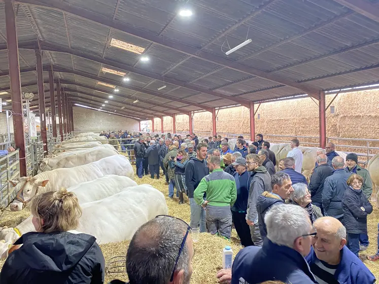 vue d'ensemble concours de Montluçon