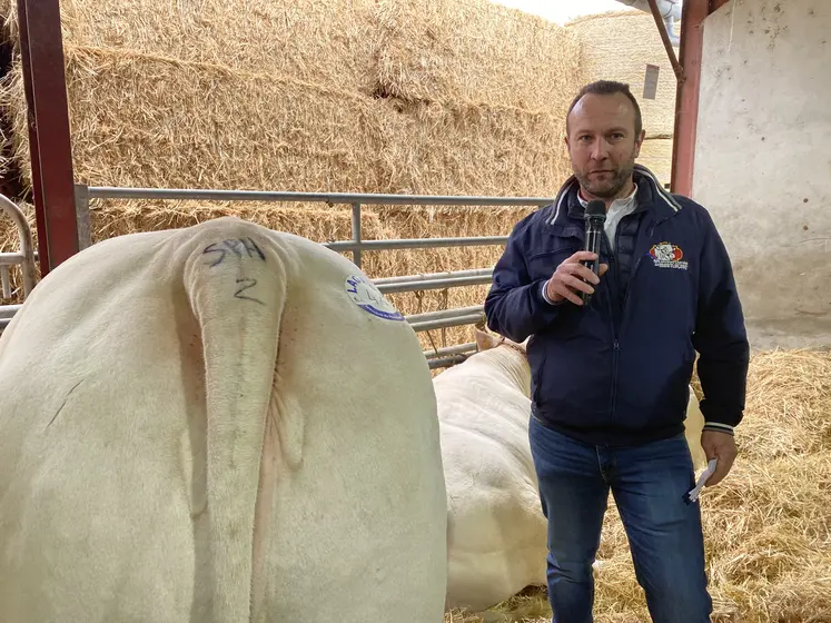 Romain Grobaud, président du Comité des concours agricoles charolais de Montluçon