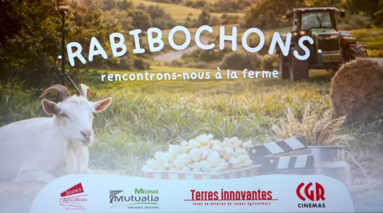 Affiche de "Rabibochons".