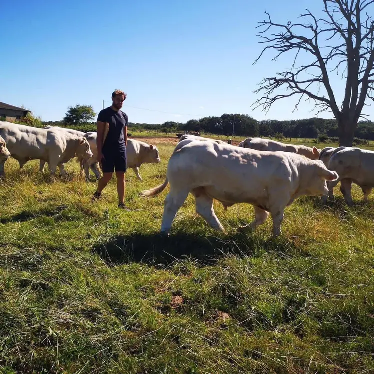 pâturage tournant à Bressolles
