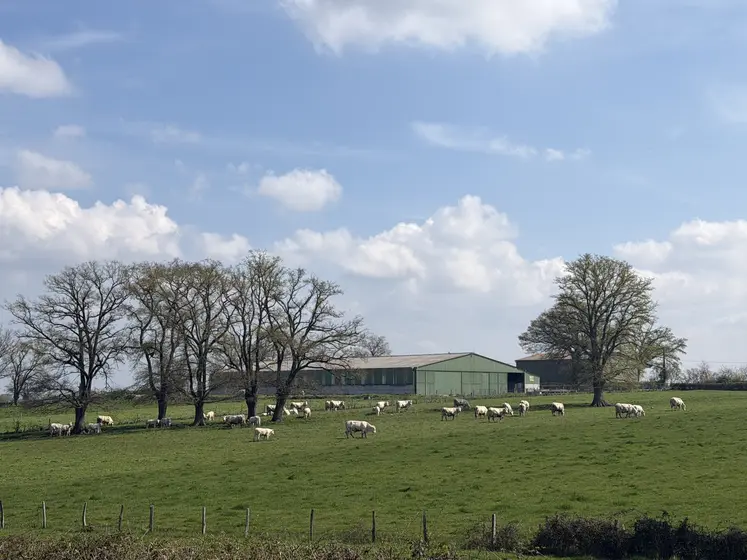 pâturage tournant à Bressolles