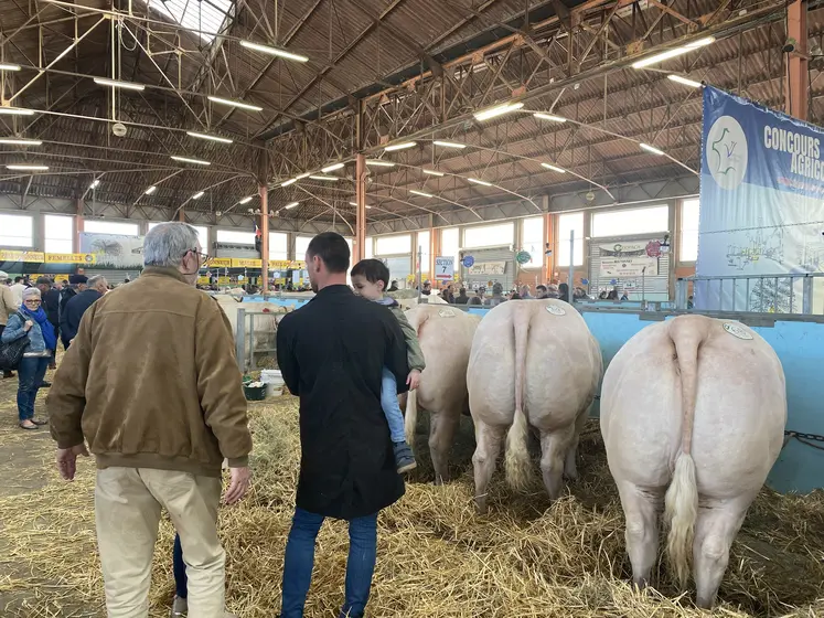 vue d'ensemble concours varennes-sur-allier