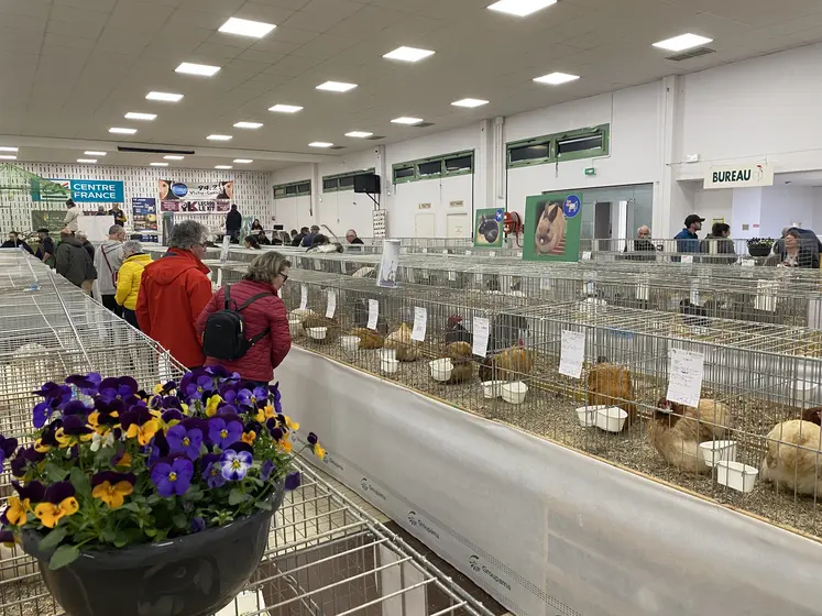 cages foire avicole varennes-sur-allier