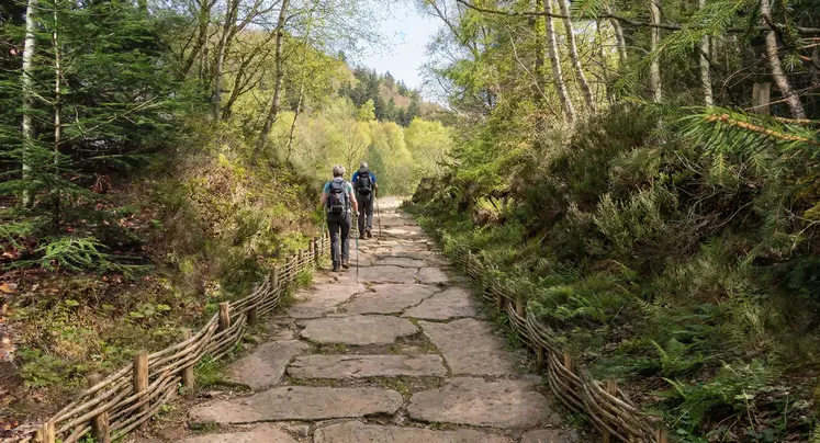 L'accès à la carrière du puy de La Vache sera réaménagé en un chemin pavé de pierres noires. La pente actuelle sera réduite pour faciliter l'accès.  