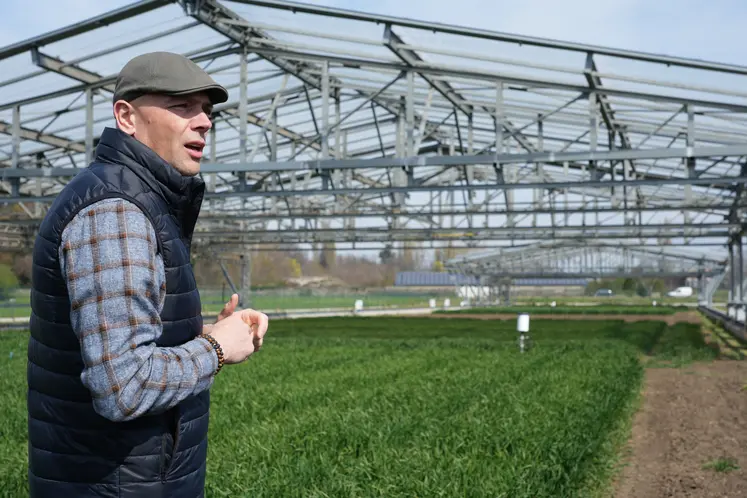 Laurent Falchetto, directeur de l'unité Phéno3C à l'INRAE présentant la parcelle de phénotypage haut-débit.
