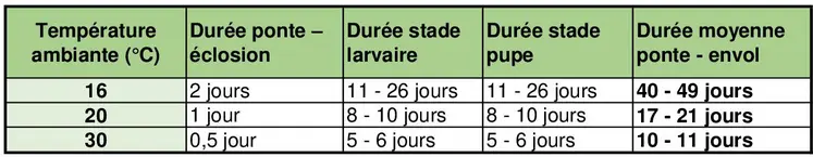 La durée du cycle est étroitement liée à la température ambiante, plus il fait chaud, plus la dynamique de contamination s’accélère.