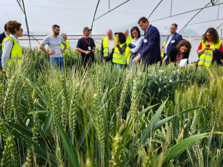 Limagrain compte plusieurs centres de recherche en Europe et dans le monde mais aussi en Auvergne, près de Clermont-Ferrand.  photo d'archive