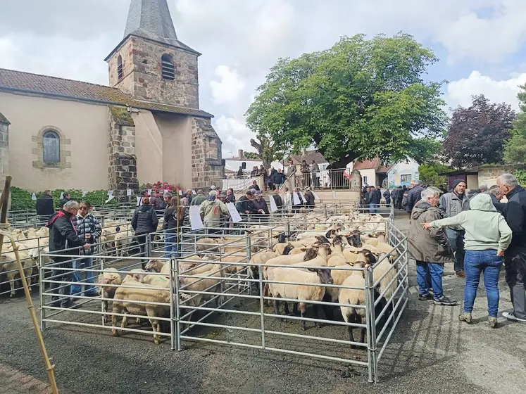 vue d'ensemble foire ovine Louroux-Hodement 2026