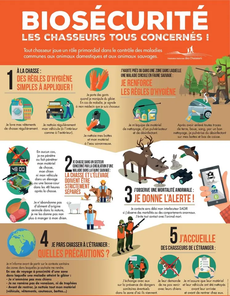 La faune sauvage peut être réservoir de maladies zoonotiques (tularémie par exemple) ou susceptibles d’infecter les animaux d’élevage, surtout les suidés. Les chasseurs et les utilisateurs de la nature doivent respecter des règles de biosécurité, en fait des règles de bon sens !