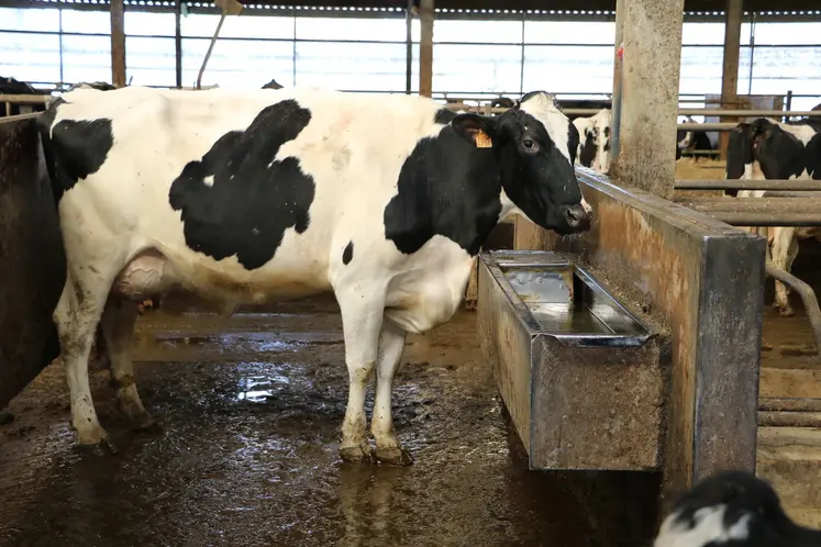 Attention, une eau limpide n’est pas forcément une eau de bonne qualité.