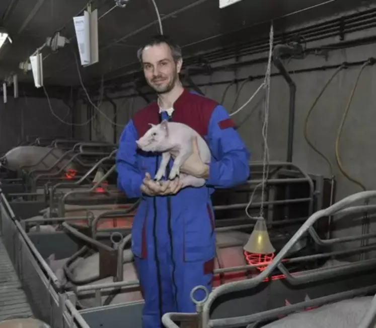 éleveur avec des cochons dans un bâtiment d'élevage.