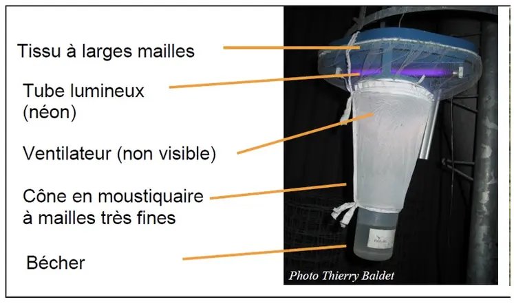 Piège à culicoïdes