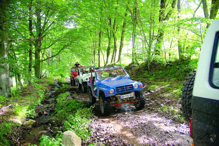 Des 4x4 dans la forêt.