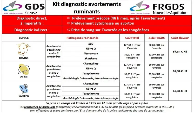 Un avortement doit être déclaré dès le premier animal en bovin et en cas d’avortements multiples sur les petits ruminants. Au-delà de cet aspect réglementaire lié à la brucellose, on peut investiguer de nombreuses maladies. Le taux d’élucidation est conditionné par la précocité d’intervention (prélèvement dans les 48 heures, maximum, suivant l’avortement pour le diagnostic direct), la qualité des prélèvements et la vitesse d’acheminement, d’où la mise à disposition des vé...
