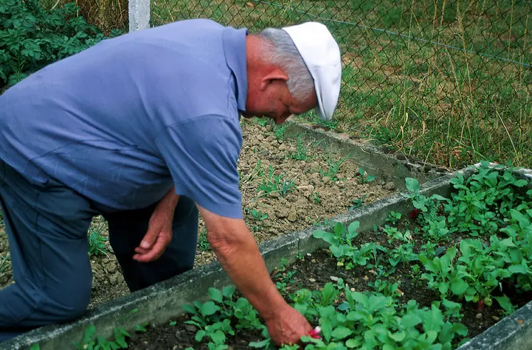 Conditions d'attribution, calcul des ressources, recours sur succession : la MSA Auvergne fait le point sur un dispositif qui préserve spécifiquement l'outil de travail des agriculteurs.