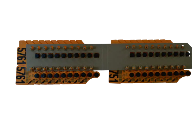 MSD Santé Animale - ALLFLEX EUROPE SAS - Conditionnement sur cartonnette pour boucles officielles bovines.