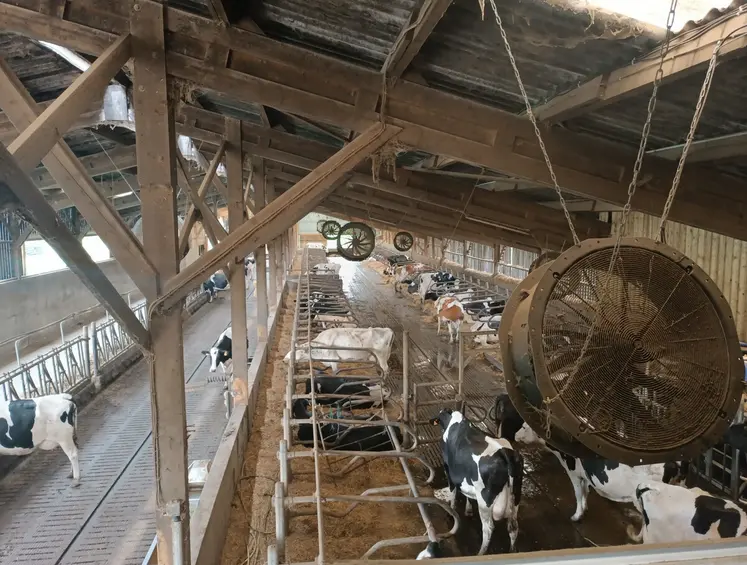 Les débits de ventilation doivent être maximisés en été, par l'ouverture de votre bâtiment et/ou par l'installation de ventilateurs.