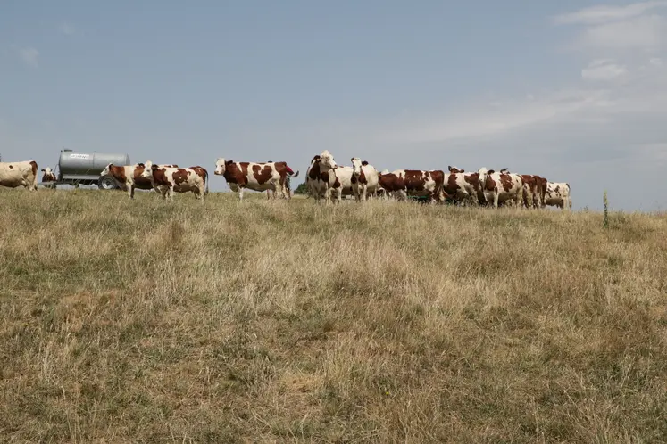 Les agriculteurs non assurés peuvent également bénéficier de l’Indemnité de Solidarité Nationale, mais dans des conditions moins avantageuses.
