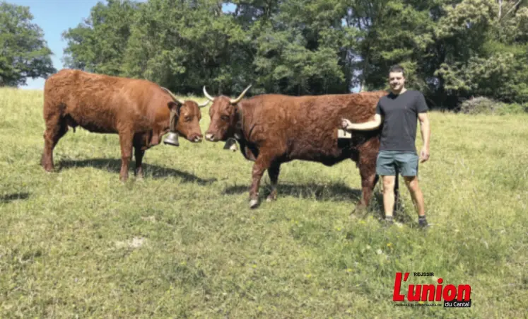 jeune éleveur devant une vache salers au pré