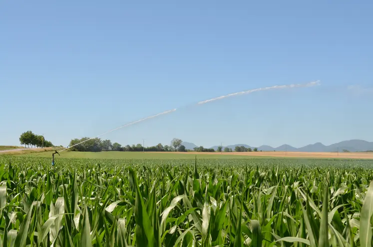 irrigation de maïs dans la plaine de la Limagne
