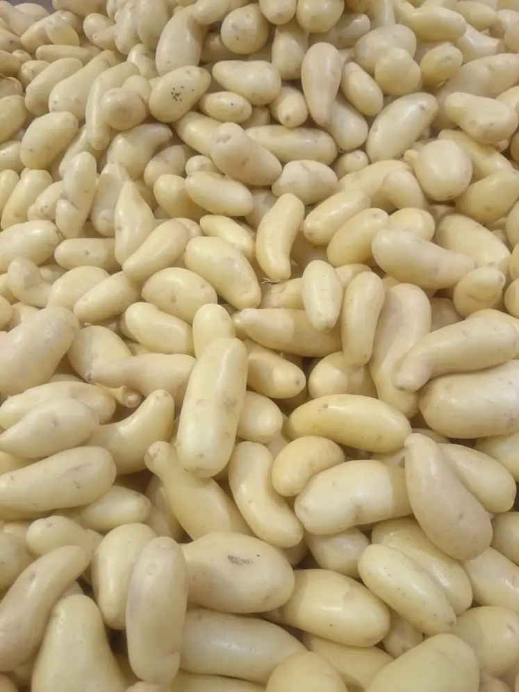 pommes de terre en vrac