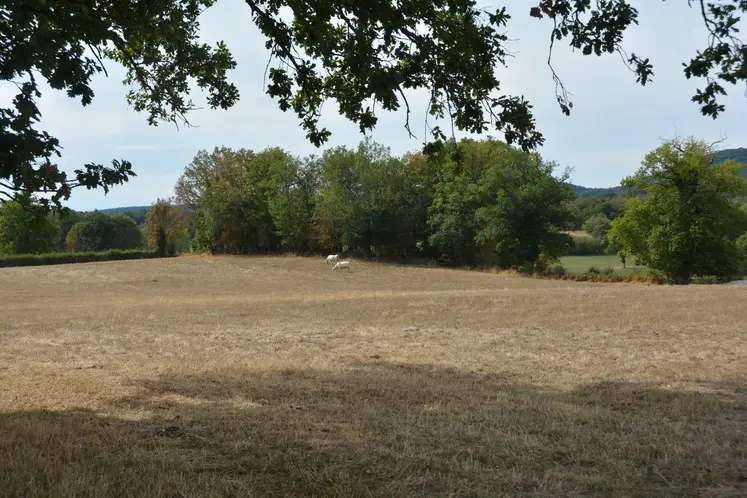 pré sec aux alentours de Guéret, été 2026