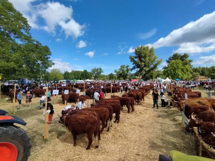 Le concours interdépartemental s'est déroulé à Brassac-les-Mines où 36 élevages ont présenté des animaux. 