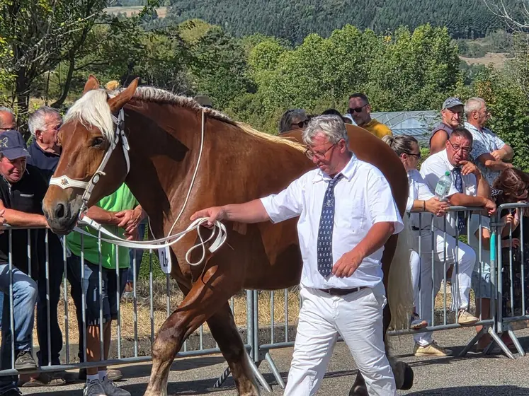 La championne des 2 ans en numéros pairs de Pascal Boncompain