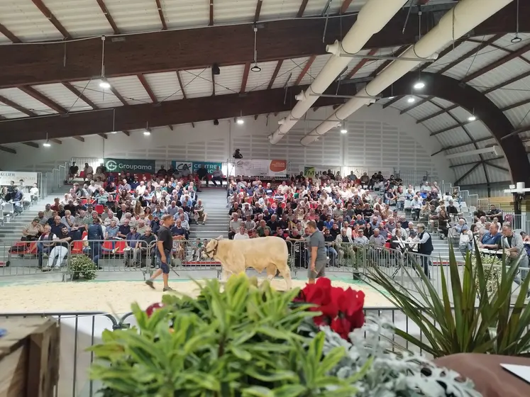 48e vente aux enchères Alsoni
