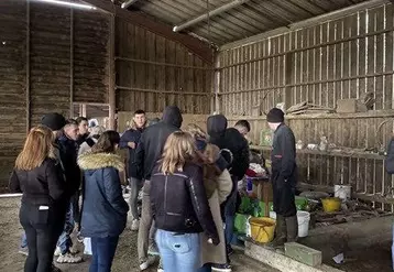 Les étudiants du CFPPA de Neuvy se sont rendus sur l’exploitation de Mathieu Olivier, à Buxières-les-Mines.