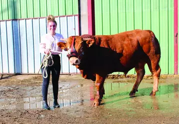 Emma Bouis, aux côtés de « Polo », un veau de 17 mois d'un poids de 800kg, fils d'Isabeau, issu du Gaec Rousset, un mixte viande.