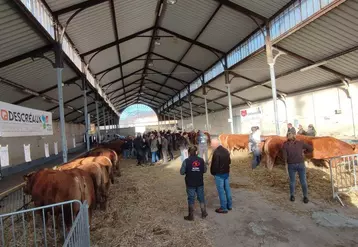 Le public composé d’éleveurs mais aussi d’amoureux de l’élevage était important sous le marché couvert de Cosne-d’Allier.