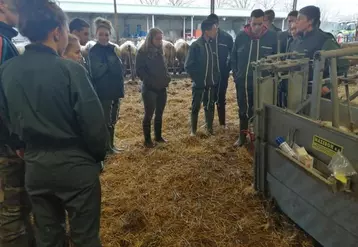 Des élèves à l’écoute des professionnels de l’élevage.