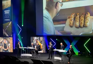 Plateau de l’Assemblée Générale (au micro : Paul-Yves L’Anthoën, Directeur Général du groupe Axéréal)