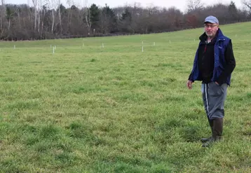 Serge Thuillier au sein d'une parcelle subdivisée pour le pâturage tournant, qu'il met en place en suivant les conseils des techniciens de la Chambre d'agriculture de l'Allier.