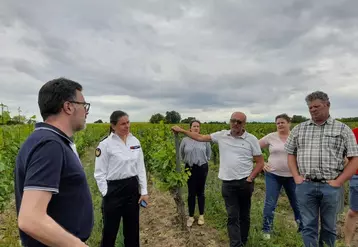 Valérie Hatsch, préfète de l'Allier, entourée des représentants des services de l'Etat, de la profession et des élus, à la rencontre des agriculteurs touchés par la grêle.