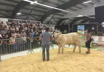 Salle comble. Quelque 500 personnes étaient présentes au Parc des Expositions de Moulins, parmi lesquelles de nombreux acheteurs potentiels venus de toute la France. Ci-dessus, une des plus belles ventes de la journée, un veau du Gaec bourbonnais Audinat.