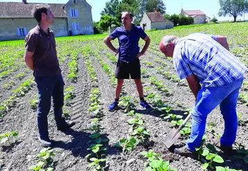 13 agriculteurs de l’Allier ont créé un groupe Ecophyto 30 000 pour diminuer la vulnérabilité de leurs fermes face aux aléas climatiques et limiter le recours aux produits phytosanitaires.