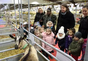 600 enfants charmés par les animaux de la ferme