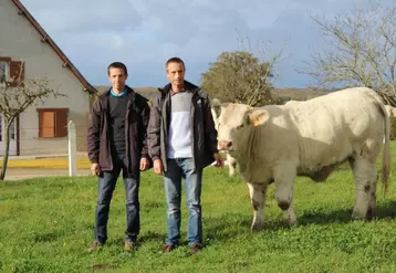 Laurent et Thierry Clame aux côtés d’une des bêtes qui seront présentées lors du prochain concours de Moulins.