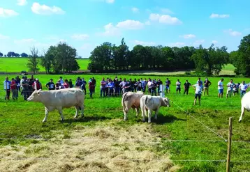 Plus d’une centaine d’éleveurs et de partenaires ont assisté à une présentation des travaux de sélection