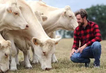 Gauthier Hamot aux côtés de ses vaches de race charolaise au sein d’une parcelle conduite en pâturage tournant.