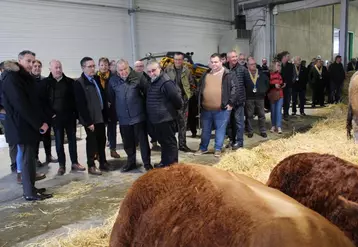 Visite de la délégation officielle dans les allées de la foire concours en fin de matinée, le samedi 18 février. Ici, à proximité des bovins de race Aubrac et Limousine.