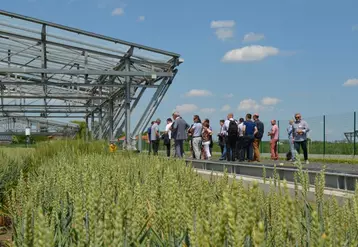 Les membres du Gnis devant le dispositif Phéno3C à l’Inra de Crouël (63), où sont étudiés les comportements de différentes variétés de blé, face à des conditions prédictives du changement climatique.