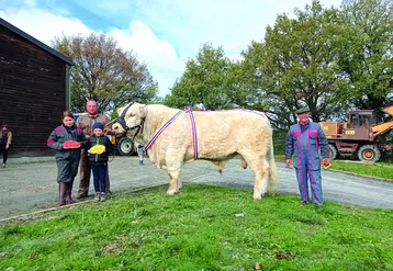 Rodrigue a remporté le Prix d'Honneur Mâles Juniors lors du concours de Saint-Gervais-d'Auvergne.  Ce jeune taureau du GIE Charolais Leader est sous la bonne garde de Benoît Astre à La Celle.