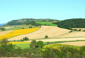 La nouvelle programmation FEADER 2023-2027 en Auvergne Rhône-Alpes met l'accent sur l'installation et les investissements agricoles.