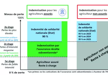 Schéma du dispositif réformé