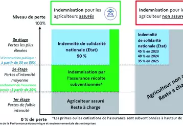 Schéma des "3 étages" du nouveau dispositif assurance récolte.